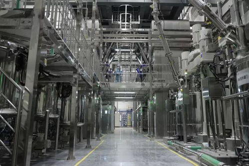 车动力探秘弗迪电池超级工厂 见证刀片电池“针纺织品”般的针刺测试